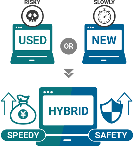 ハイブリッドドメイン戦略イメージ